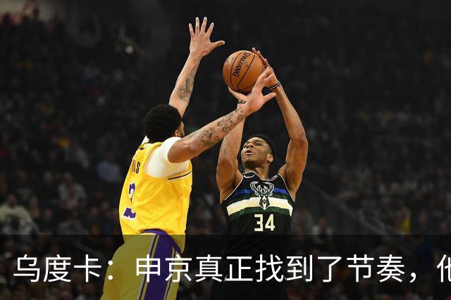 乌度卡：申京真正找到了节奏，他在篮下就是一头猛兽