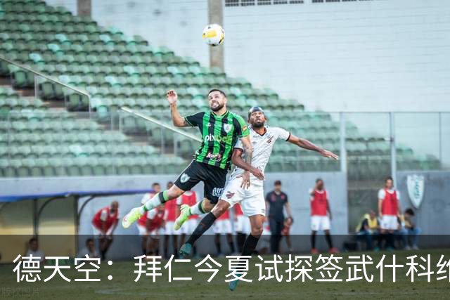 德天空：拜仁今夏试探签武什科维奇，但最终决定不引进该球员