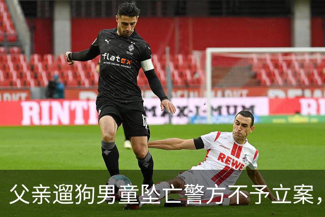 父亲遛狗男童坠亡警方不予立案，母亲最新发声
