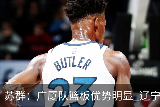 苏群：广厦队篮板优势明显 辽宁队前途凶险